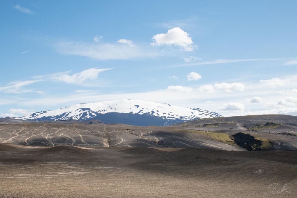 Heima Holiday Homes Selfoss Dış mekan fotoğraf