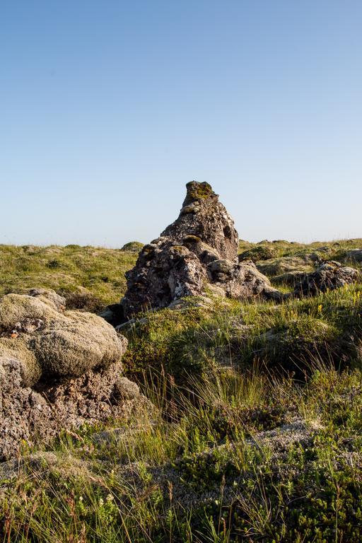 Heima Holiday Homes Selfoss Dış mekan fotoğraf